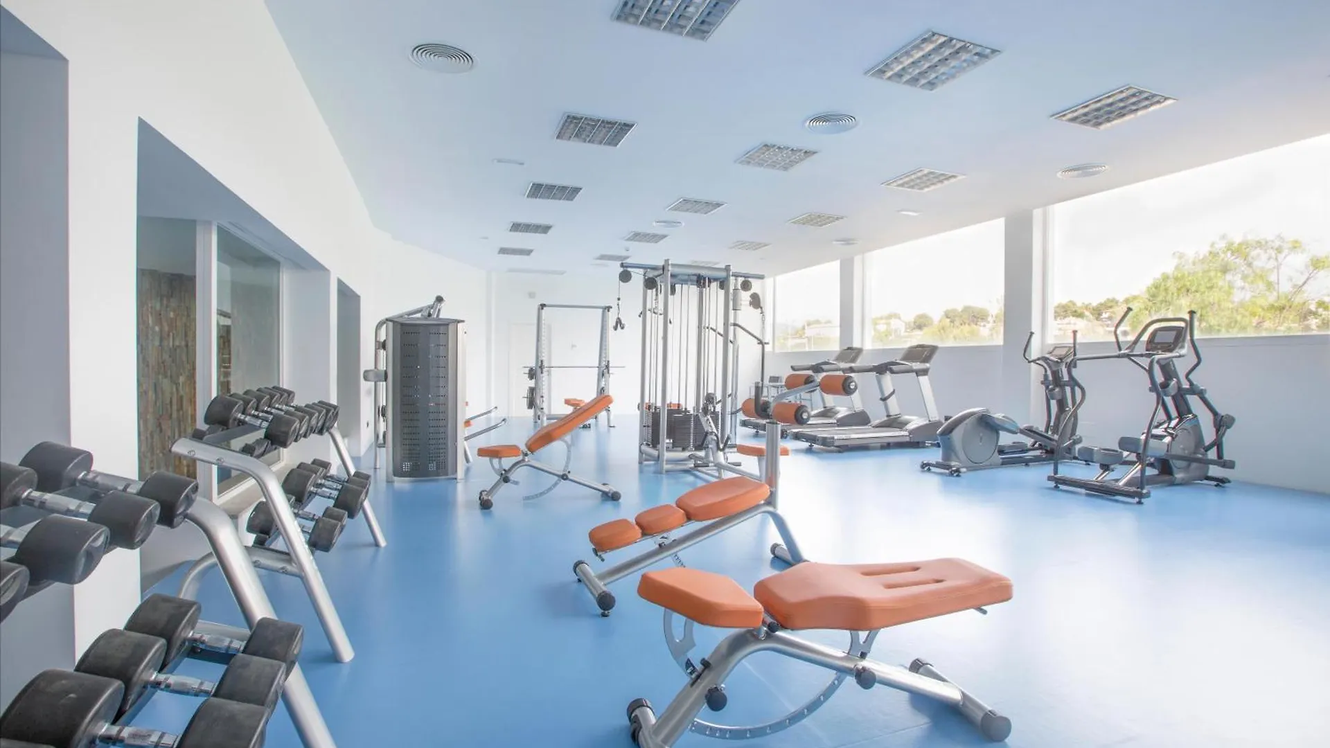 Aparthotel Marsenses Rosa Del Mar Hotel & Spa Palma Nova